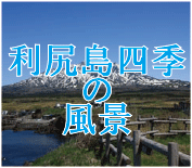 利尻島四季の風景